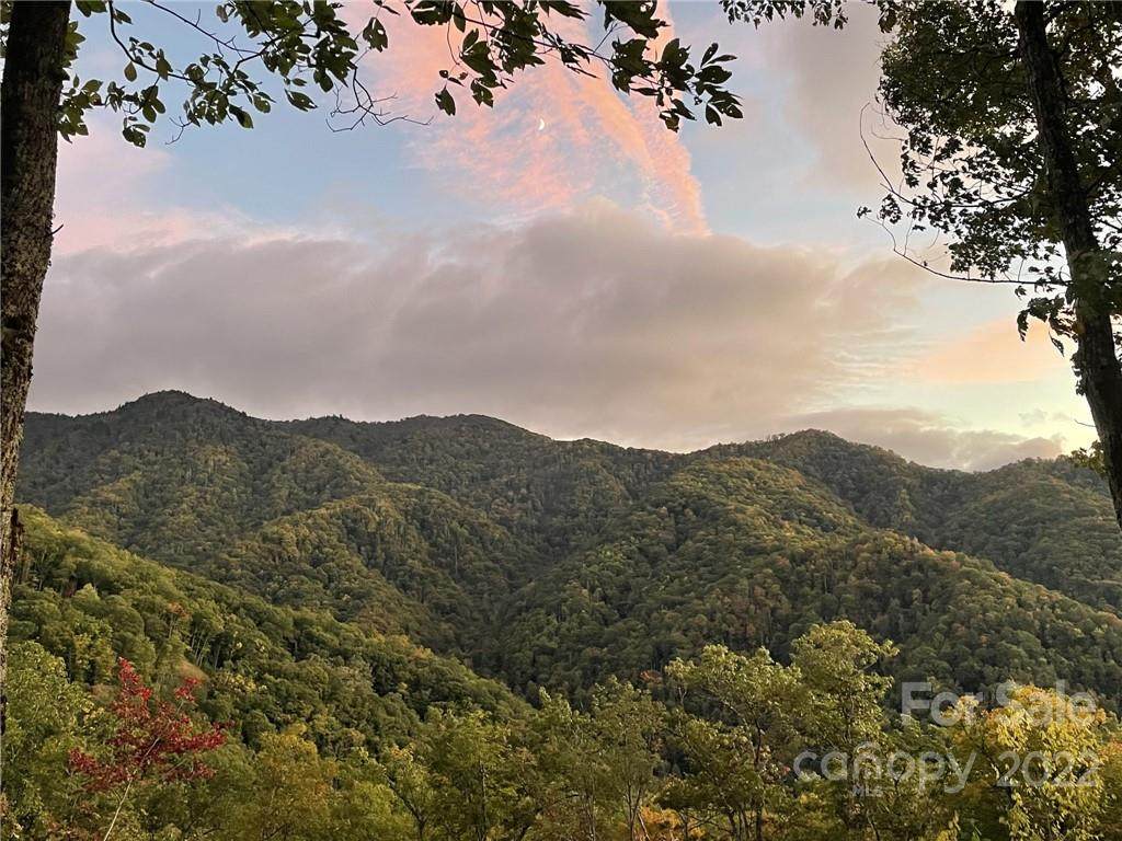 241 Bloom Trail - Photo 1