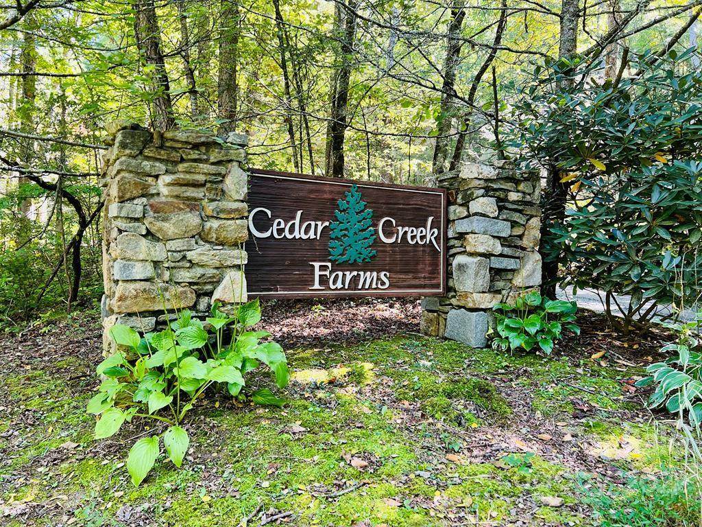 4B Cedar Creek Farm Road - Photo 1