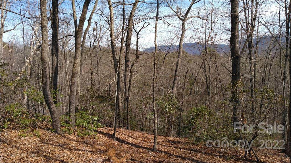 Lot 26 Crooked Creek Estates Drive - Photo 1