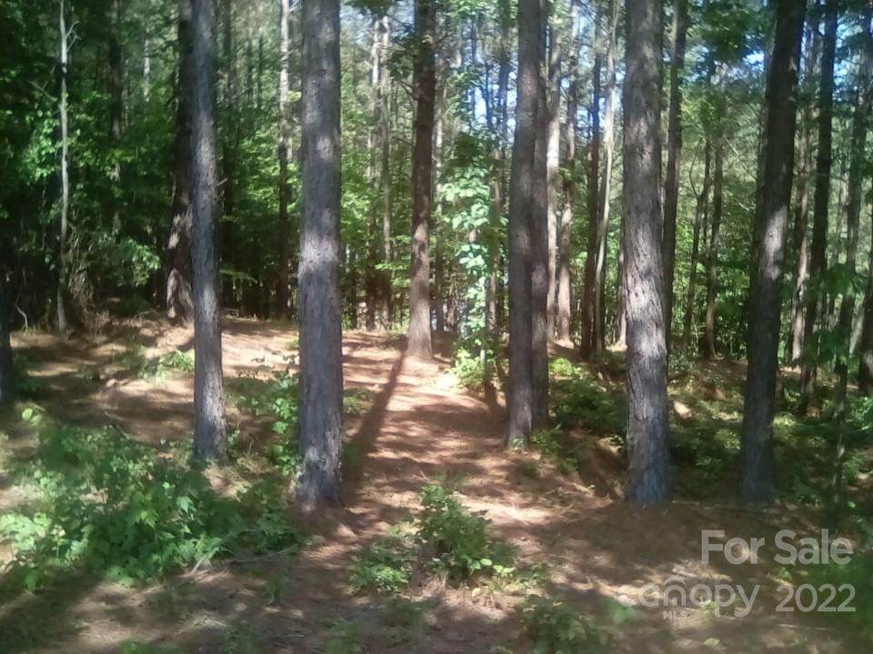 124 Settings Boulevard - Photo 1