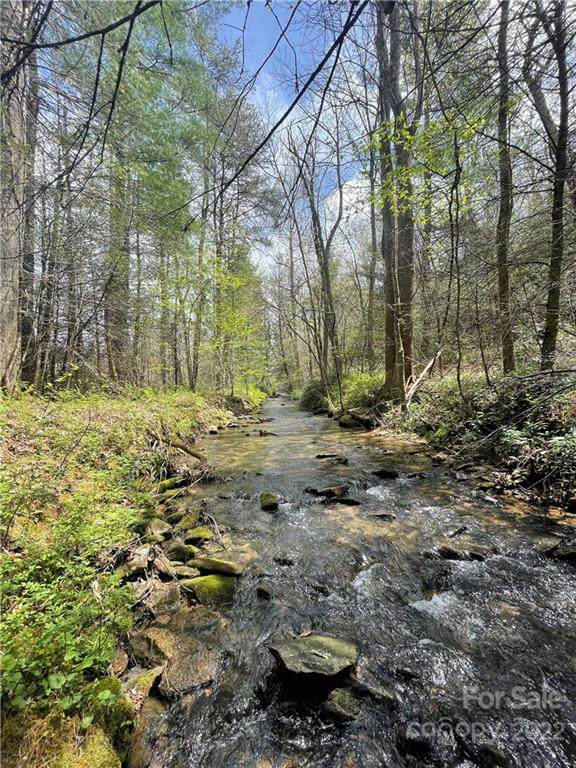 V/L Old Clear Creek Road - Photo 1