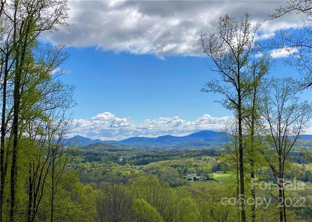 Lot c9 Longleaf Trail - Photo 1