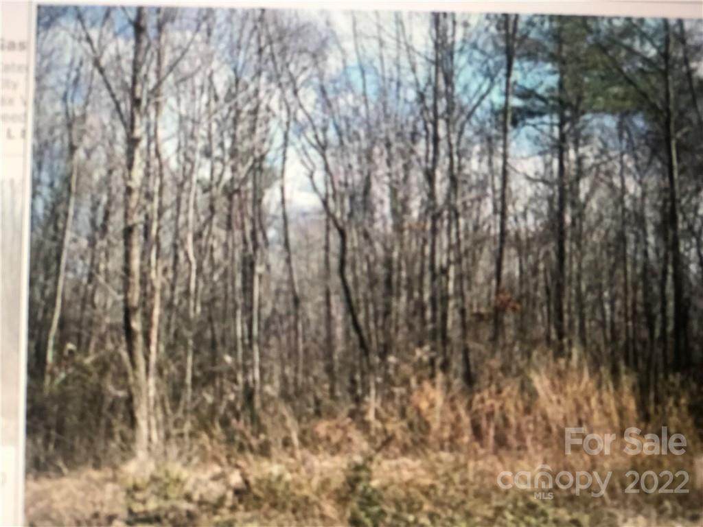 1246 Shannon Bradley Road - Photo 1