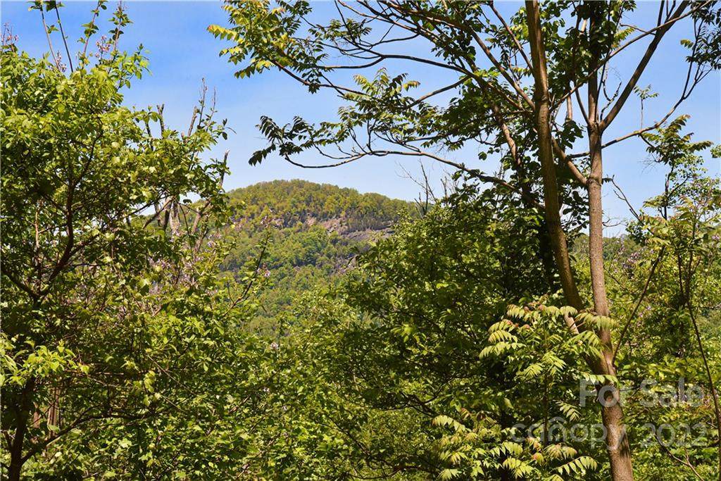 22 Chesten Mountain Drive - Photo 1