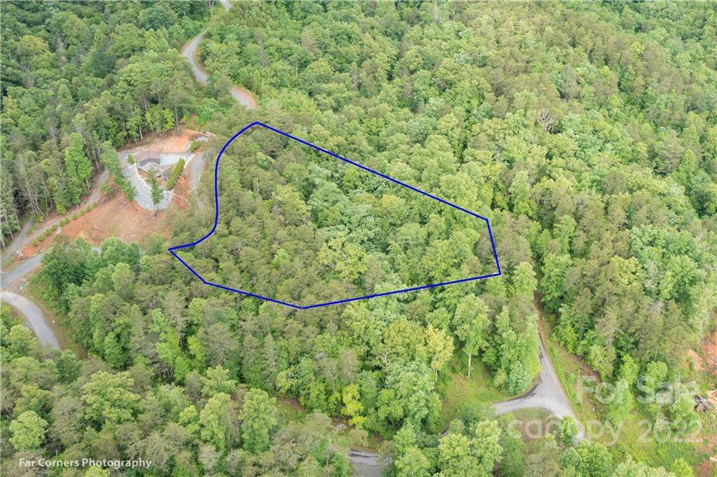 0 Laurel Branch Drive - Photo 1