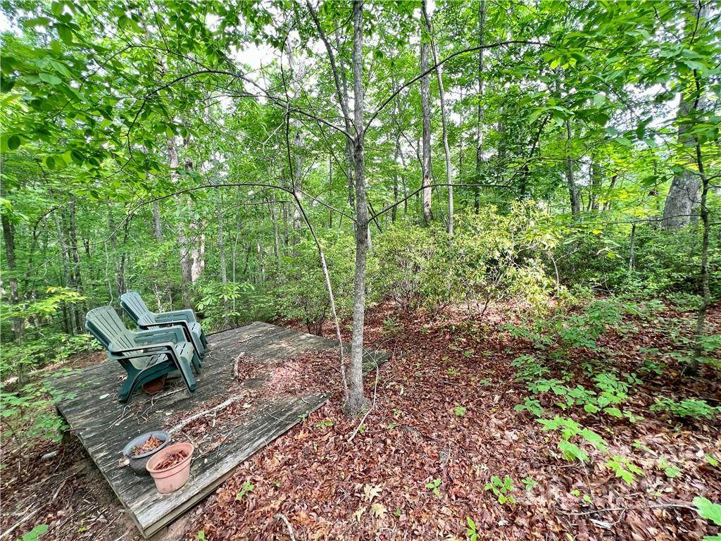V/L Big Branch Drive - Photo 1