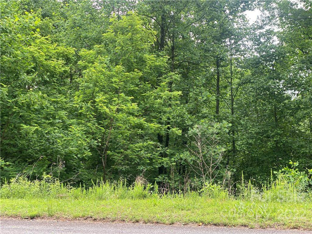 1357 Pisgah Preserve Drive - Photo 1