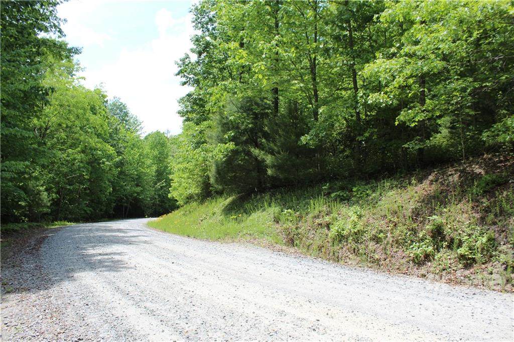 16 Big Branch Road - Photo 1