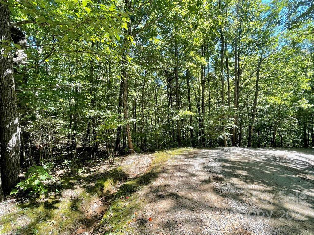 Lot 1 Windago Road - Photo 1