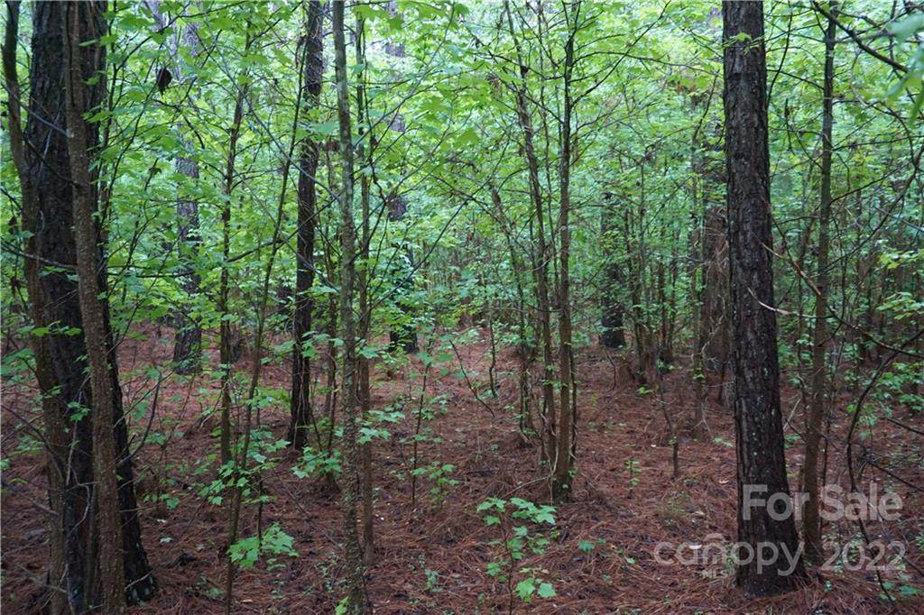 7 +/- Ac #1 Rock Cut Road - Photo 1