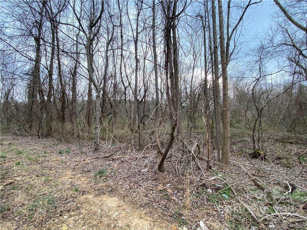 0000 Edgewood Road - Photo 1