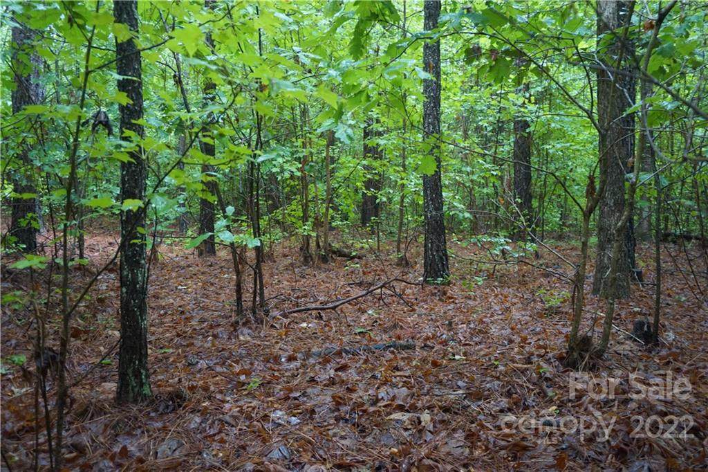 5 +/- Ac #3 Rock Cut Road - Photo 1