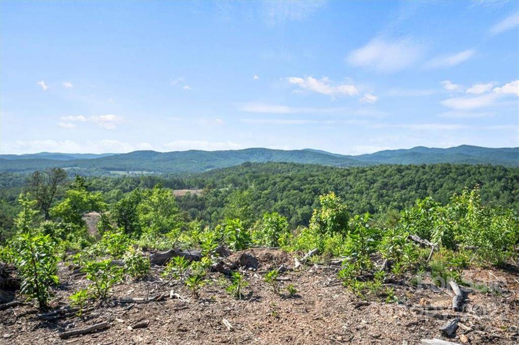 6903 Us 64 90 Highway - Photo 1
