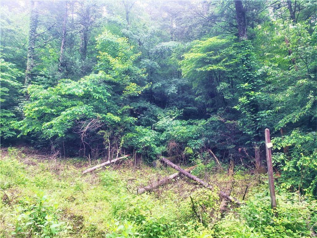 0 Plum Tree Holler Drive - Photo 1