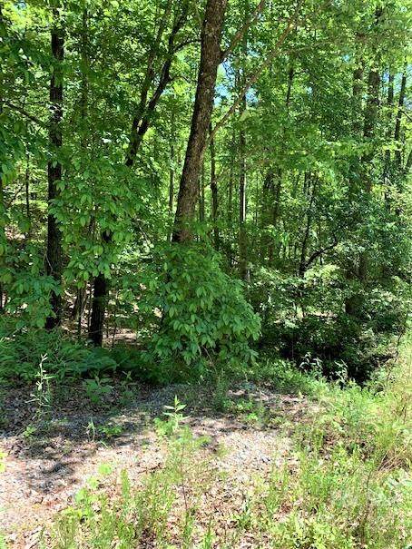 0 Oriole Drive - Photo 1