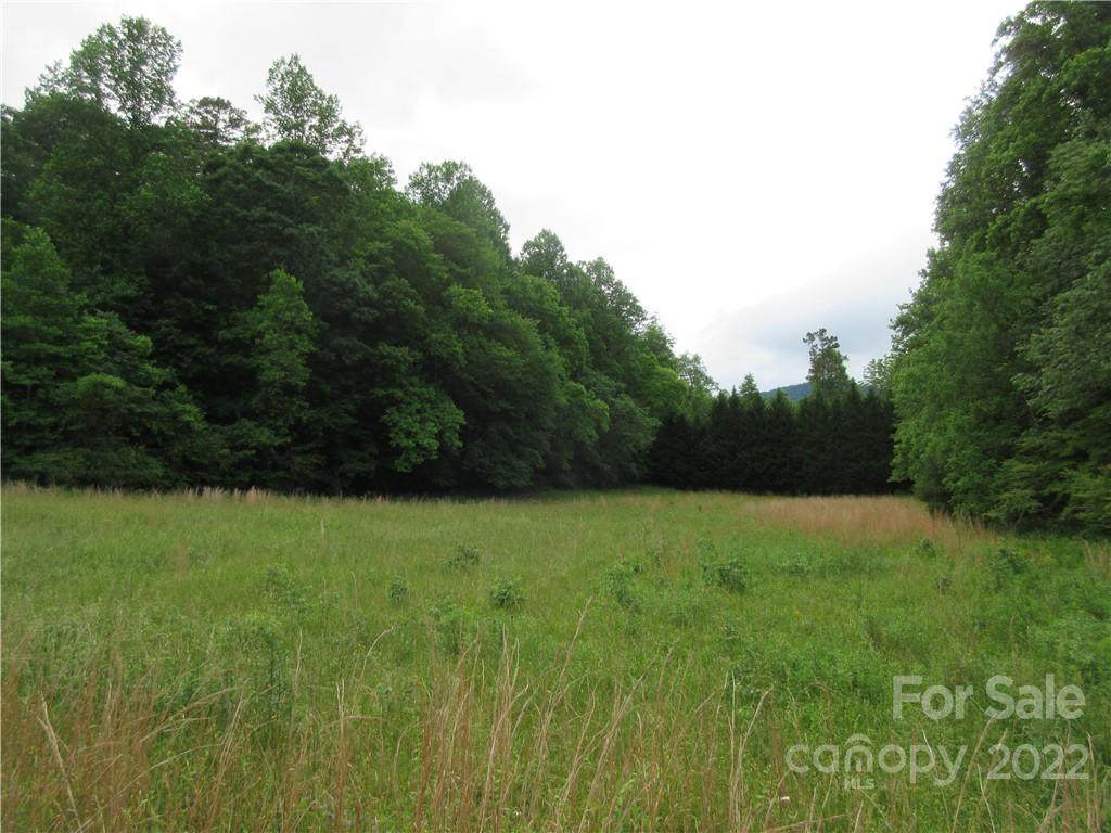 Lot 39 Laurel Lakes Parkway - Photo 1