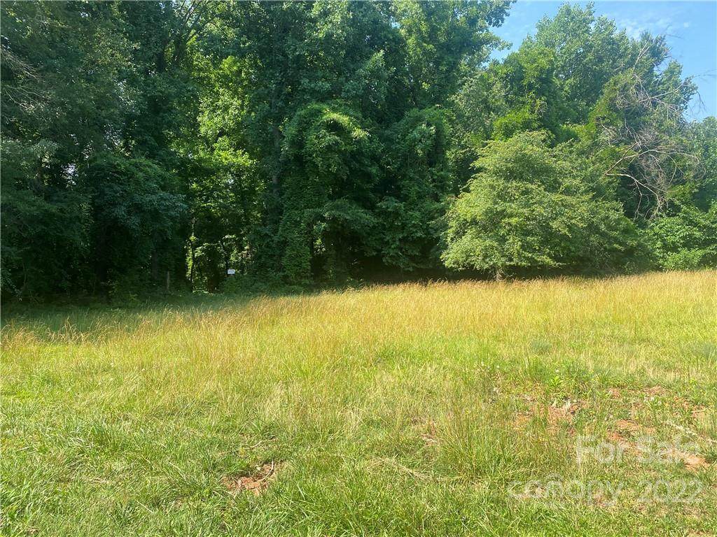 00 Old Willis School Road - Photo 1