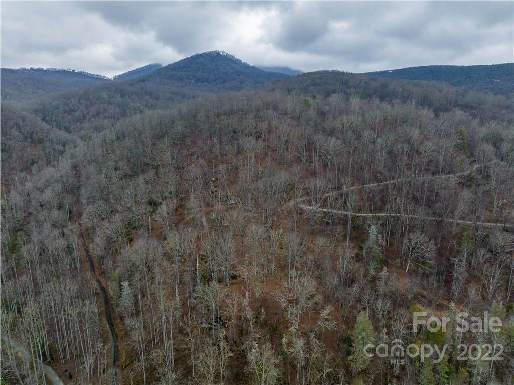 0 Bearwallow Mountain Road - Photo 1