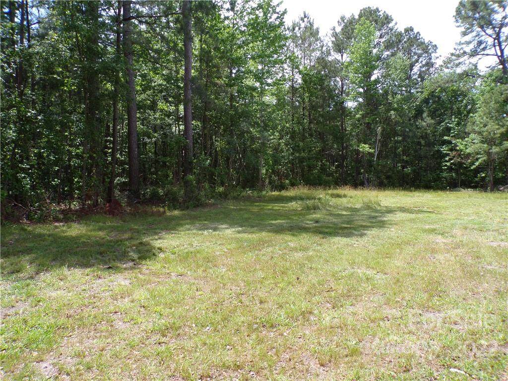 645 Pecan Grove Road - Photo 1