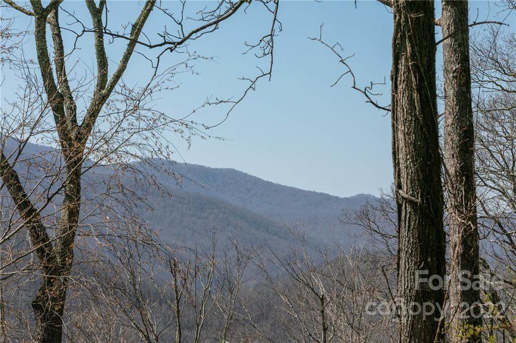 LOT 13 Austin Mountain Drive - Photo 1