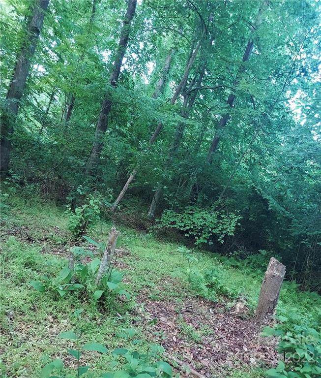 100 Big Forest Drive - Photo 1