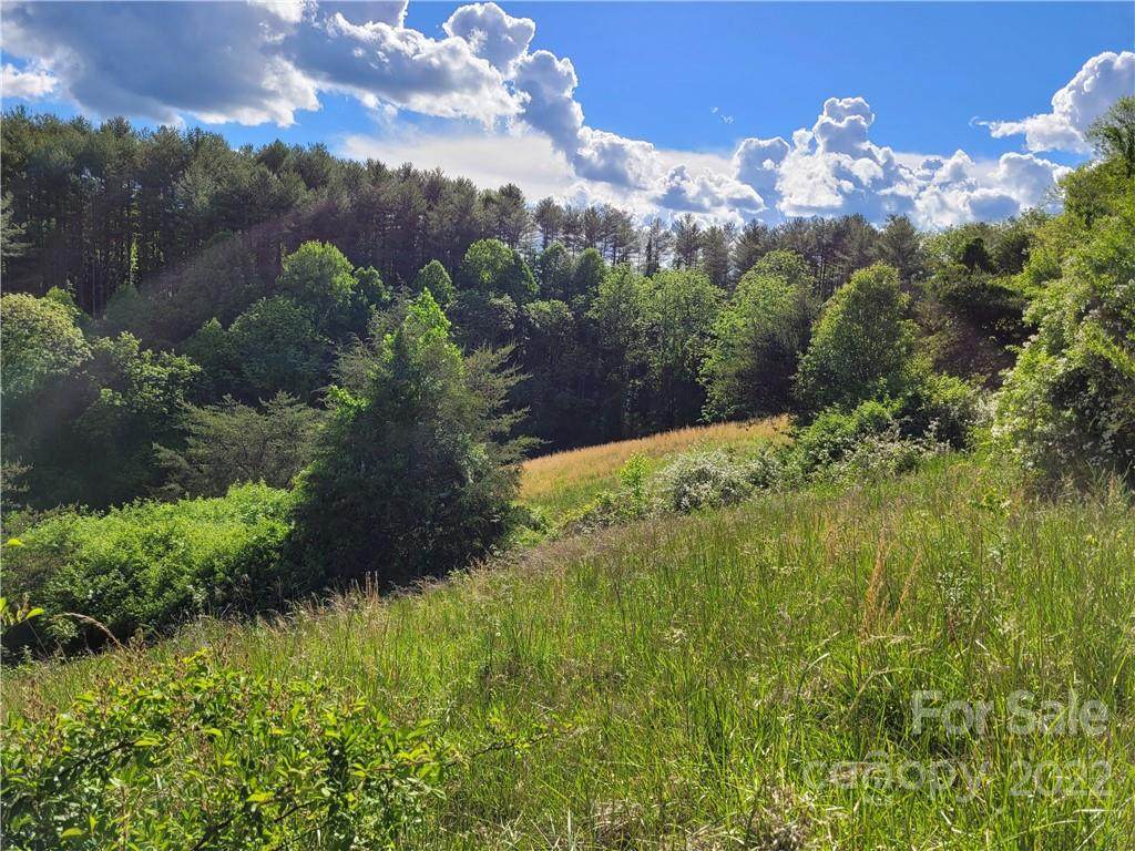 99999 Clontz Creek Drive - Photo 1