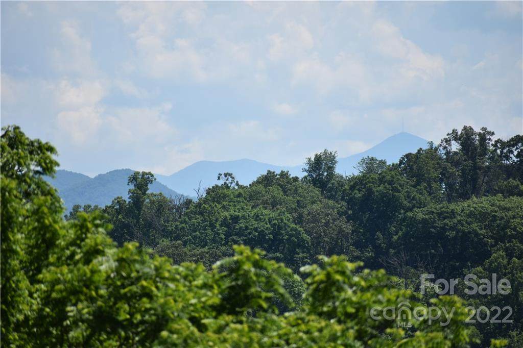 99999 Clontz Creek Drive - Photo 1