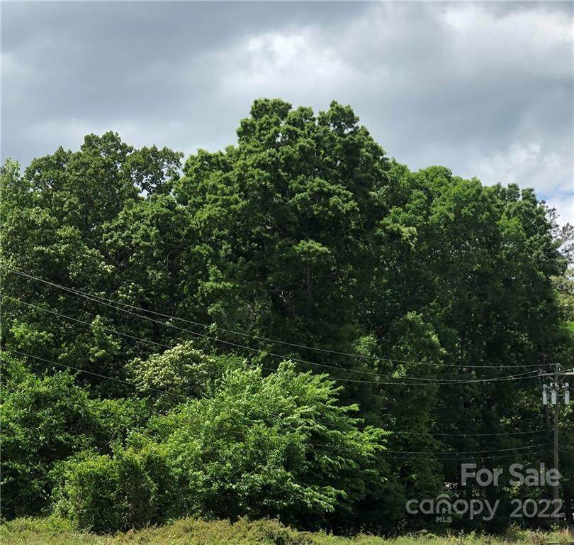 0 Lions Club Road - Photo 1