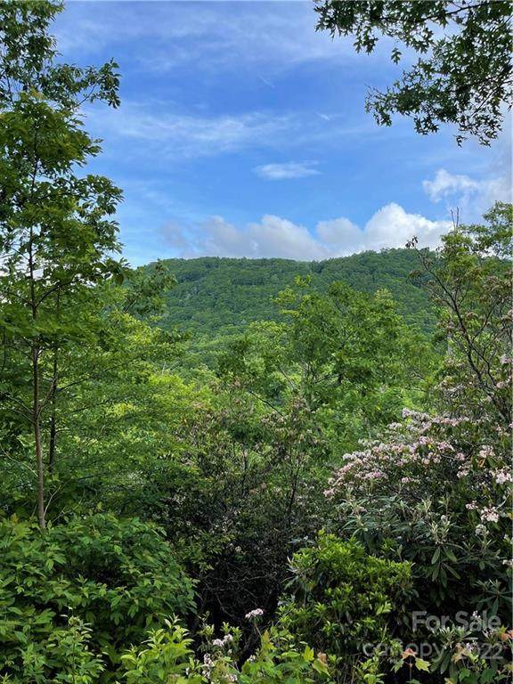 0 Middle Ridge Road - Photo 1