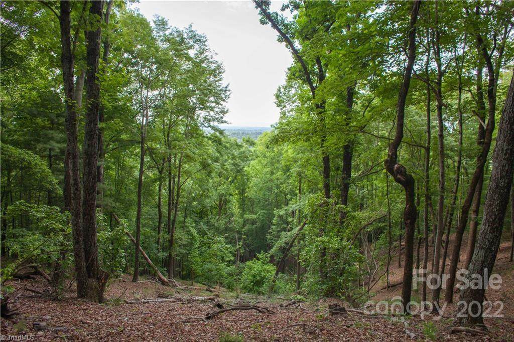 000 Hawkins Grove Road - Photo 1