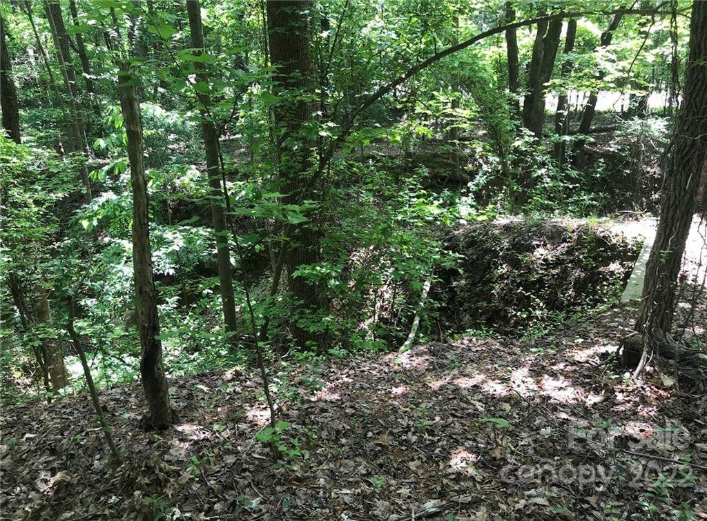 17540 Youngblood Road - Photo 1