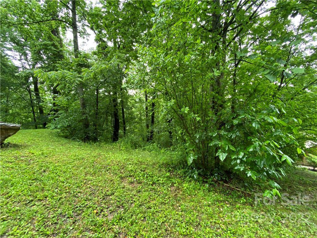 99999 Wash Freeman Road - Photo 1