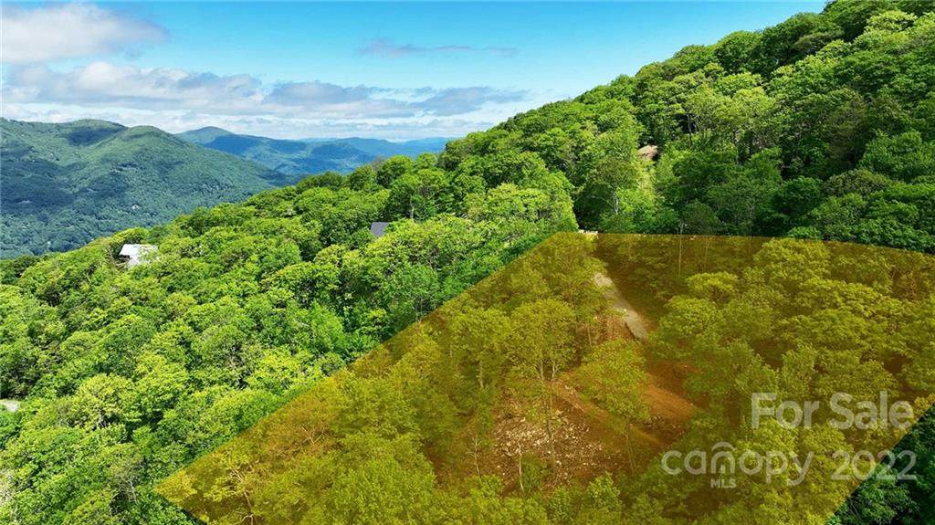 164 Ataya Trail - Photo 1