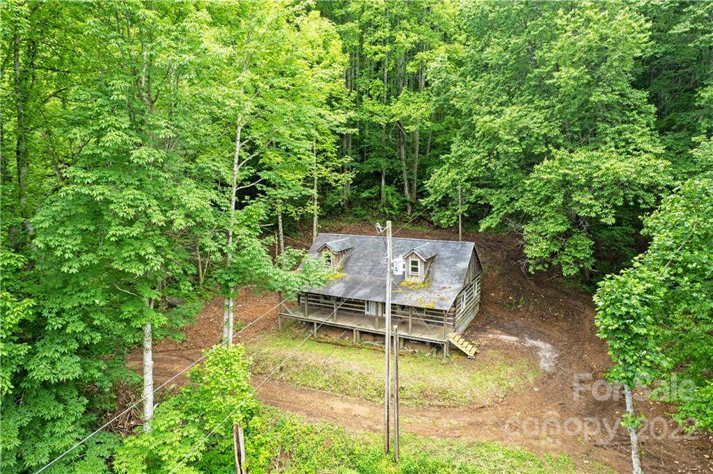 12720 Big Laurel Road - Photo 1