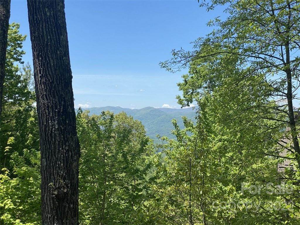 10 Stoney Falls Loop - Photo 1