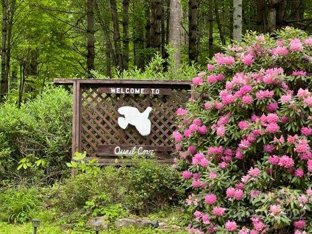 00 Grouse Road - Photo 1