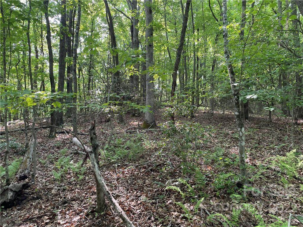 235 Ravenwood Lane - Photo 1