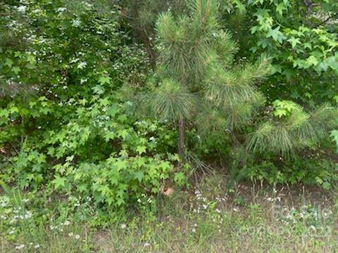0 Lincolnton Highway - Photo 1