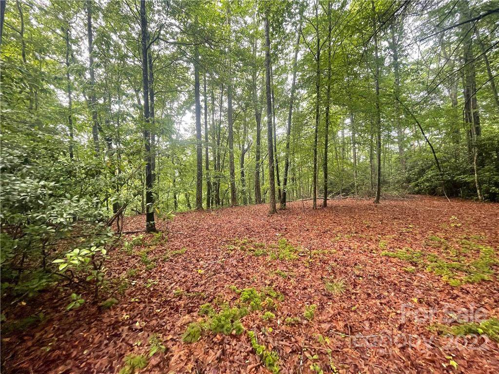 0000 Poplar Crest Drive - Photo 1