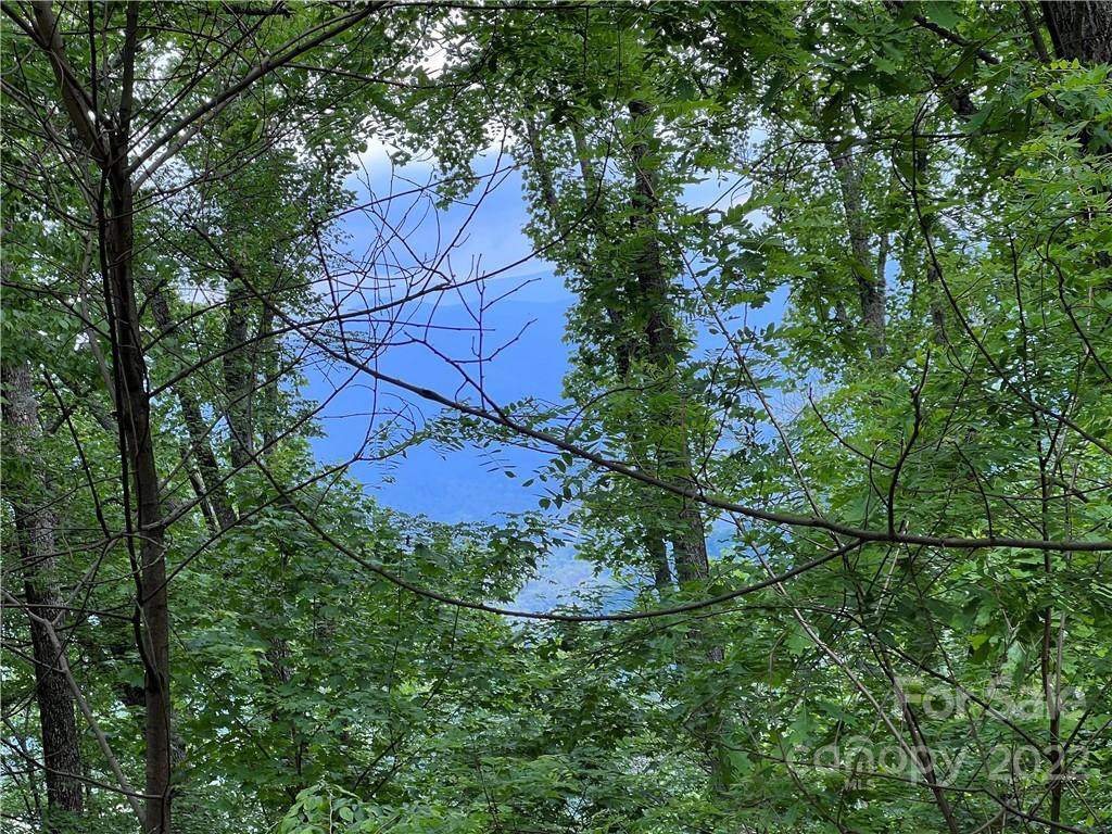 Lot 13 Old Growth Forest Road - Photo 1