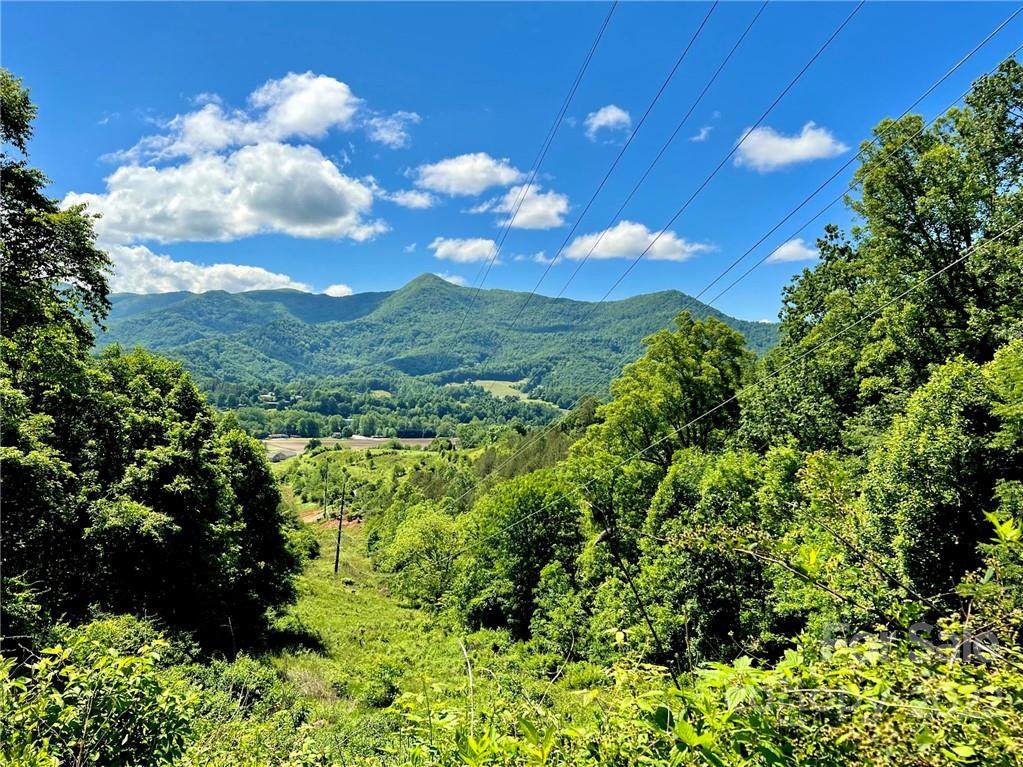 00 Jonathan Creek Road - Photo 1
