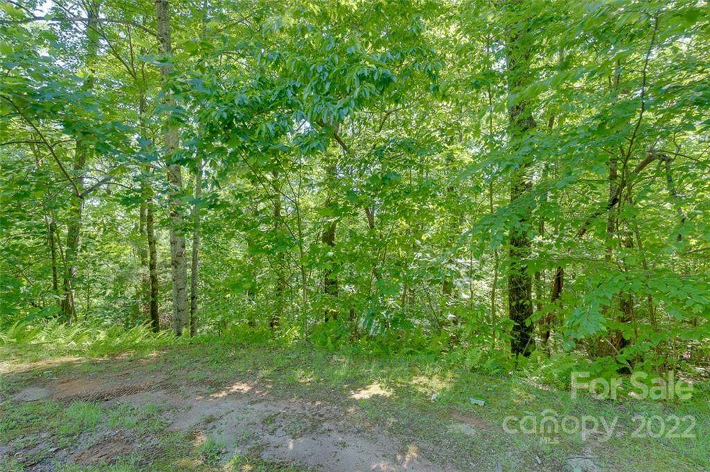 00 Spruce Lane - Photo 1