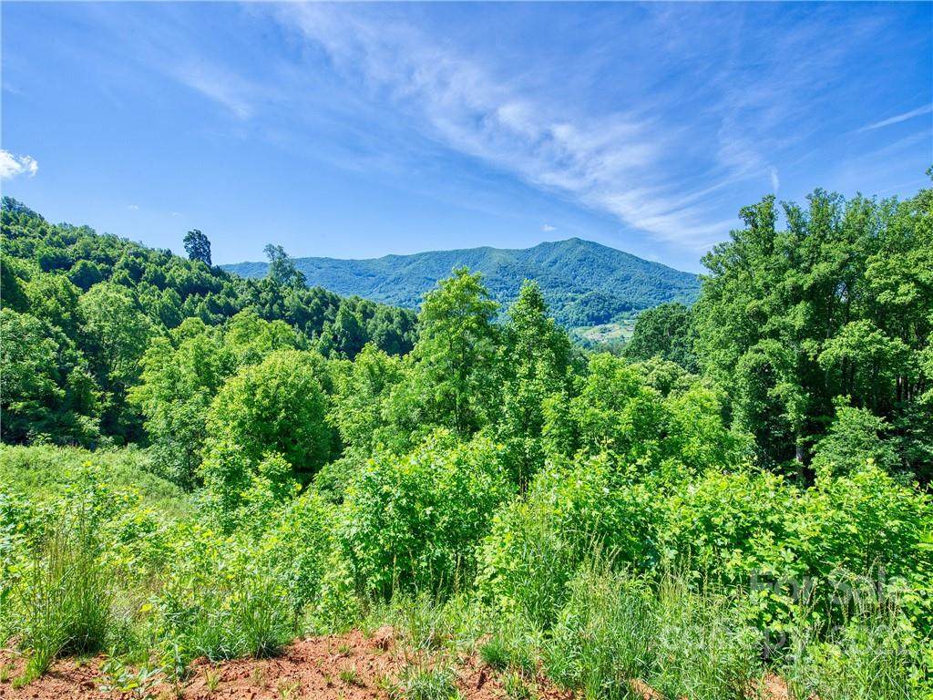 Lot #1 & 2 Griffin Road - Photo 1