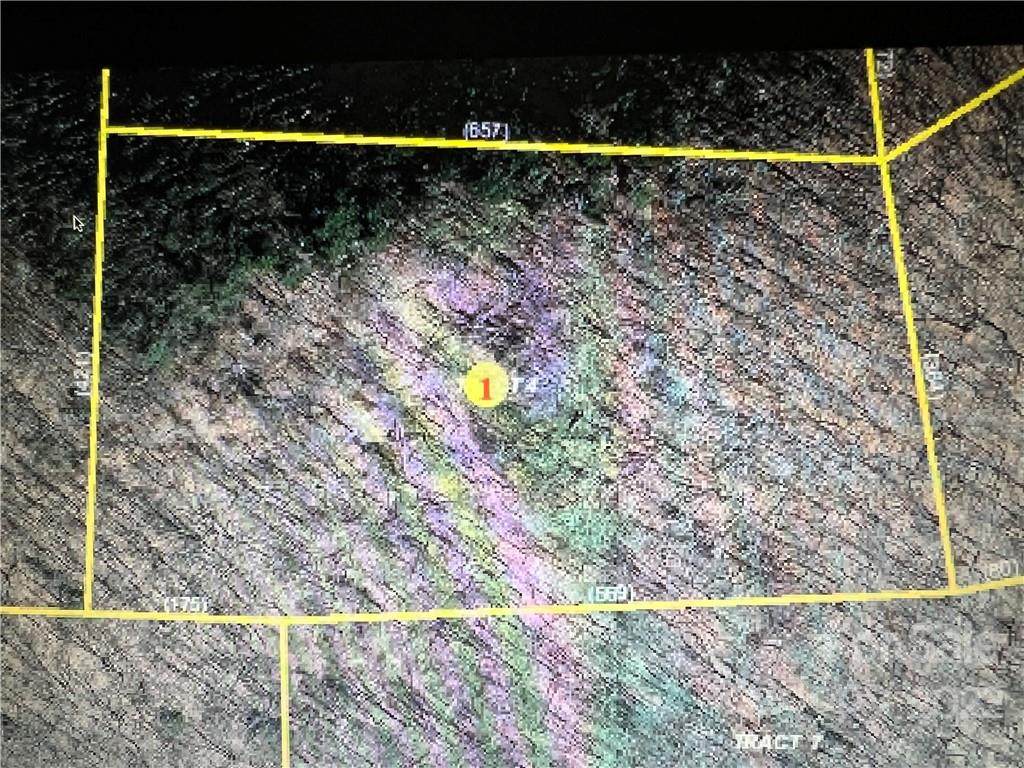 999 Upper Doe Bag Road - Photo 1