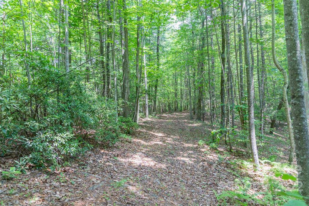 2750 Reedy Branch Road - Photo 1