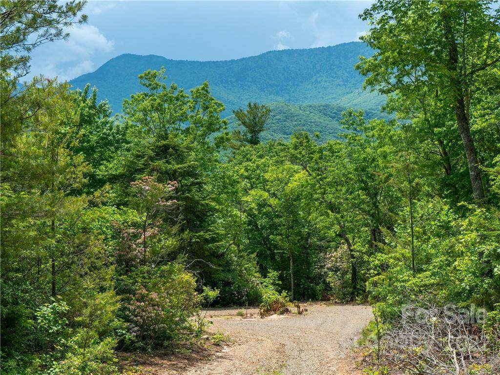 2525 White Oak Road - Photo 1