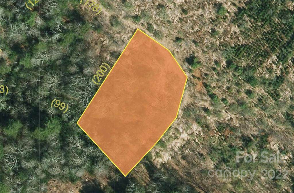 Lot 64 Big Branch Road - Photo 1
