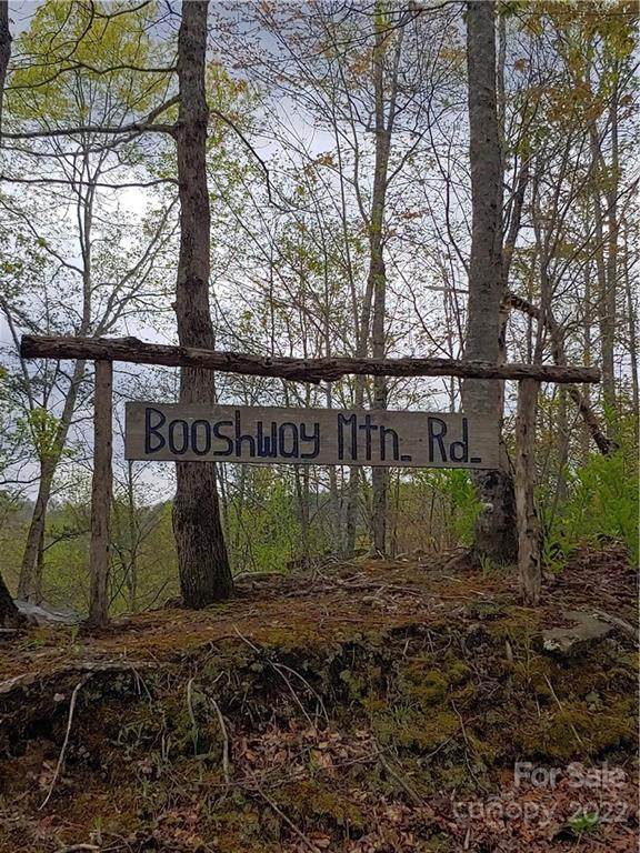 00 Booshway Mountain Road - Photo 1