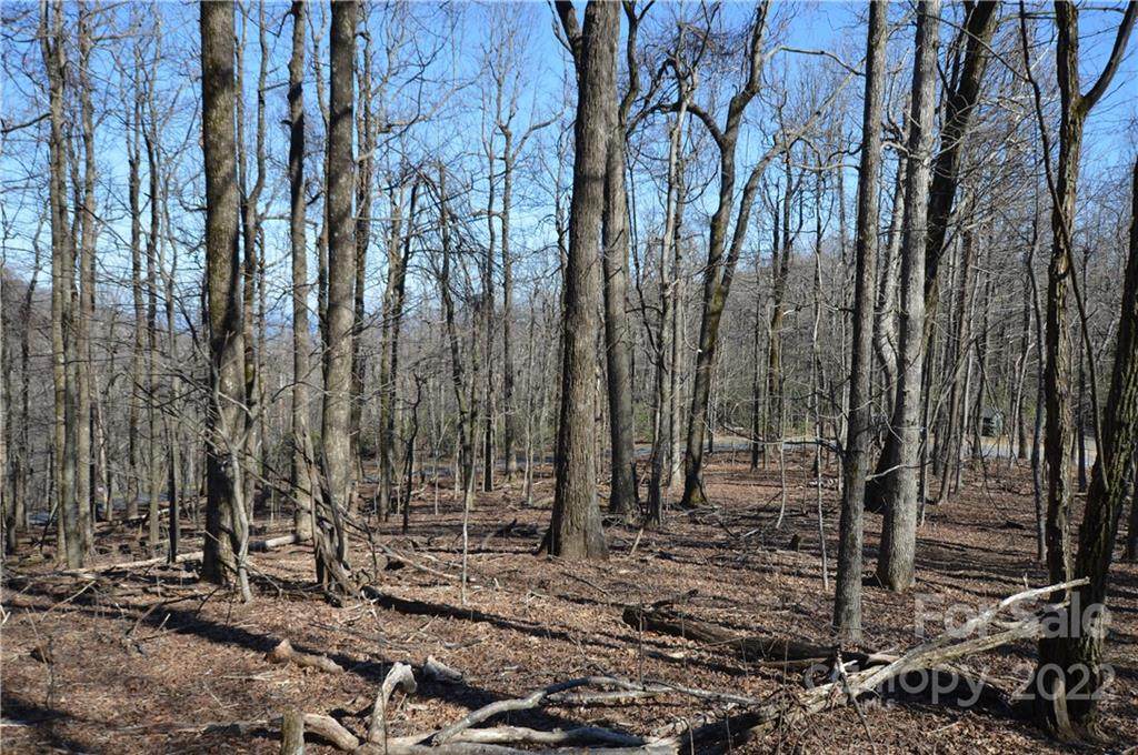 0 Riva Ridge Road - Photo 1