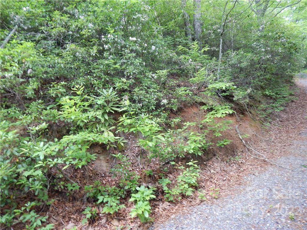 0 Fox Run Road - Photo 1